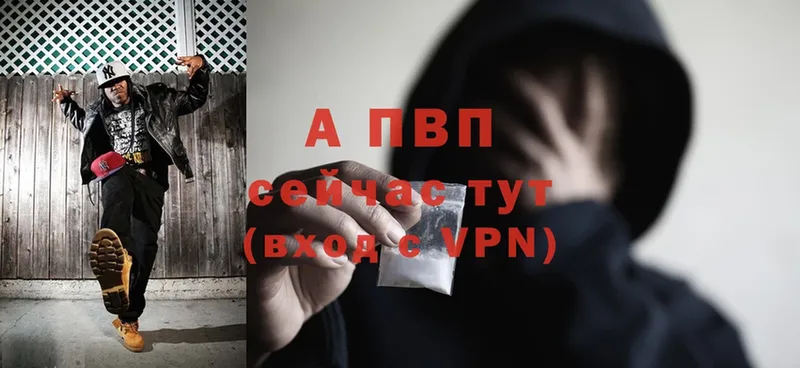 Alfa_PVP СК Клинцы